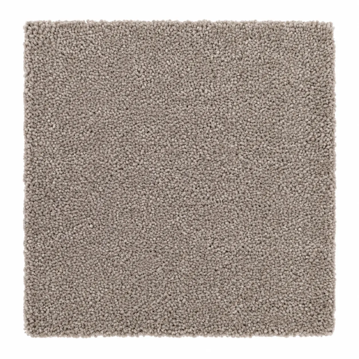 Close-up of cut-pile carpet supplied and fitted by Floors & Fix